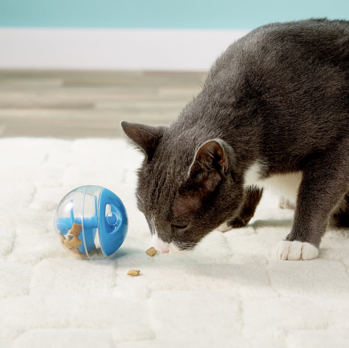 catit hagen treat ball